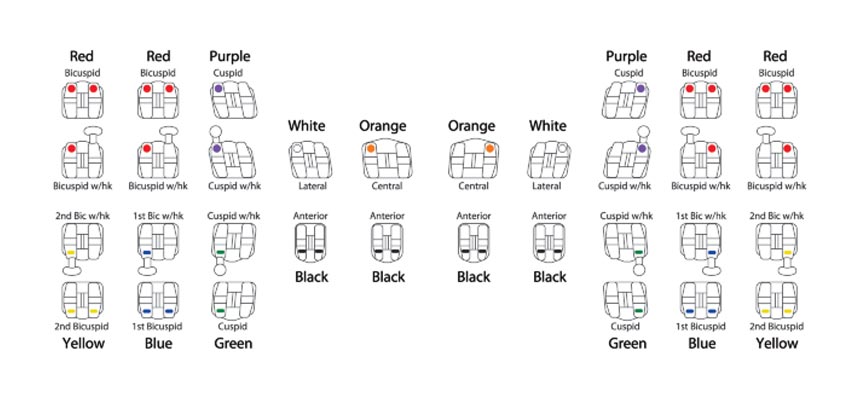 roth identification chart